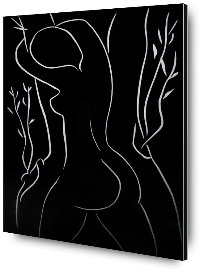 Pasiphae and Olive Tree - Henri Matisse from Fine Art, Prodi Art, black-and-white, nude, woman, pencil, drawing, Matisse