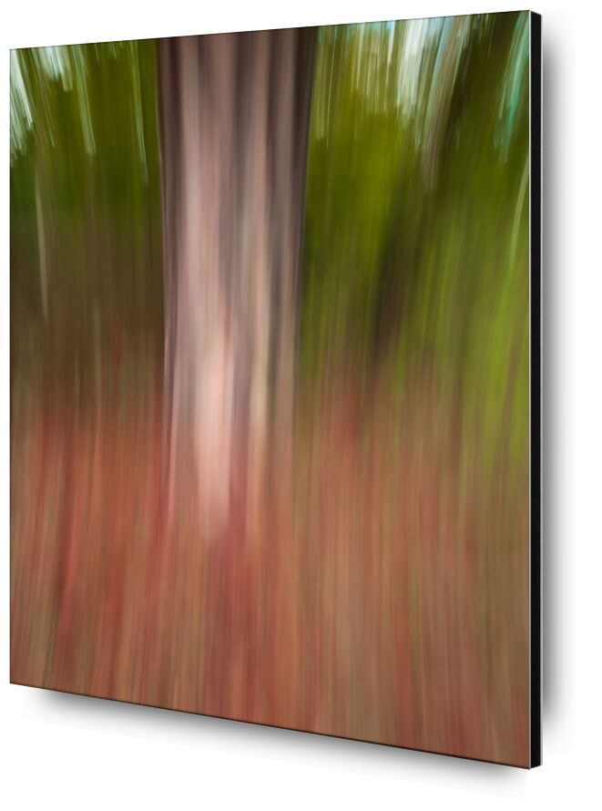 L’arbre en ICM de Céline Pivoine Eyes, Prodi Art, paysage, nature, automne, forêt, arbre, Photographie abstraite, art abstrait, art, flou artistique, Mouvement intentionnel de la caméra, ICM, Fontain