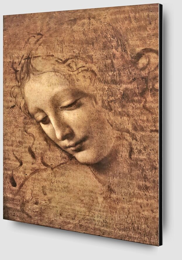 La Scapigliata - Léonard de Vinci de AUX BEAUX-ARTS Zoom Alu Dibond Image