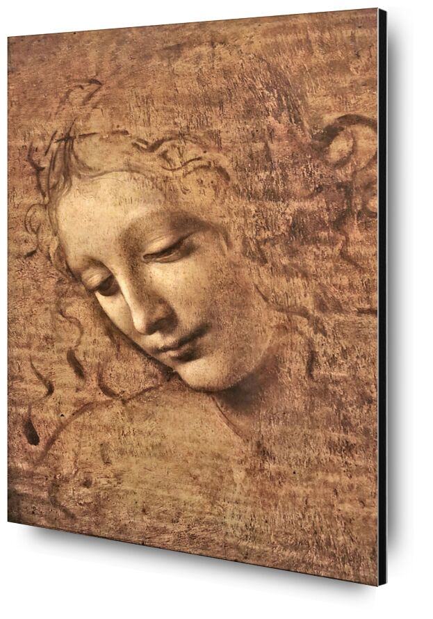 La Scapigliata desde Bellas artes, Prodi Art, mujer, retrato, Leonard de Vinci, dibujo a lápiz