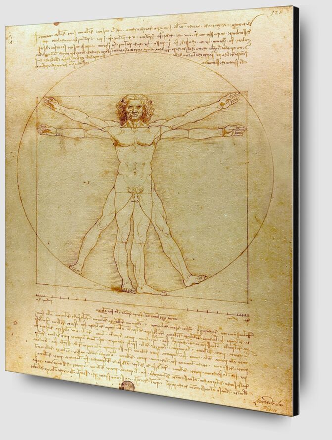 Vitruvian Man - Leonardo da Vinci desde Bellas artes Zoom Alu Dibond Image
