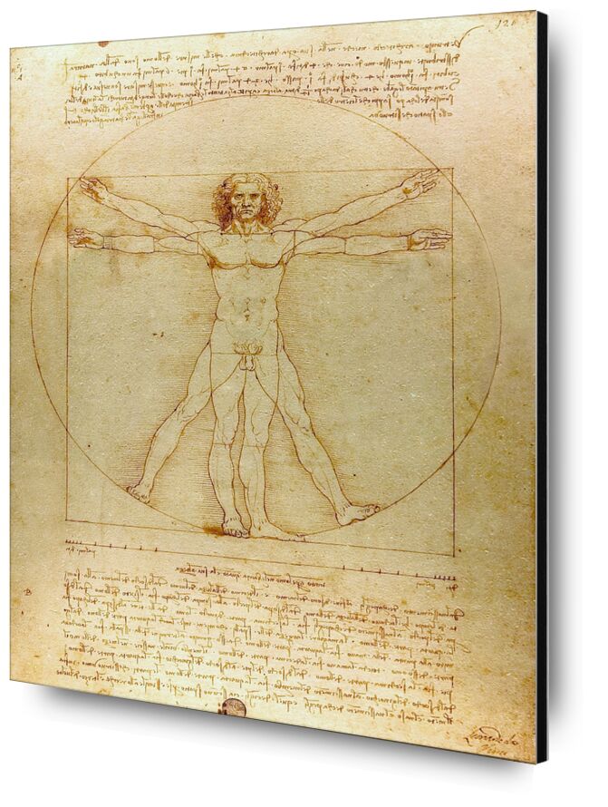 Homme de Vitruve - Léonard de Vinci de AUX BEAUX-ARTS, Prodi Art, homme, nature, De Vinci, dessin, crayon, Leonard da vinci, géométrie
