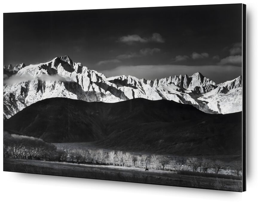 Winter Sunrise from Lone Pine, Sierra Nevada 1944 desde Bellas artes, Prodi Art, adams, Sierra Nevada, EE.UU., lago, bosque, paisaje, blanco y negro, cielo, ANSEL ADAMS, montañas