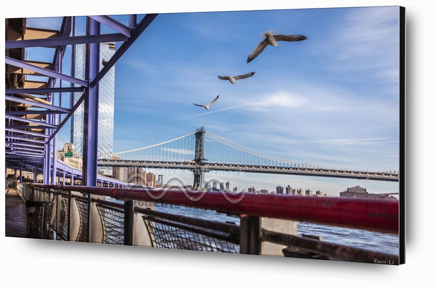 Manhattan Bridge from Caro Li, Prodi Art, NY, Manhattan Bridge, Photography, pont, photography, USA, United States, new york