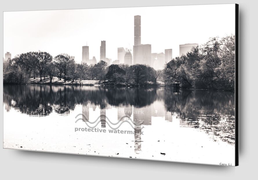 Central Park  -  New York de Caro Li Zoom Alu Dibond Image