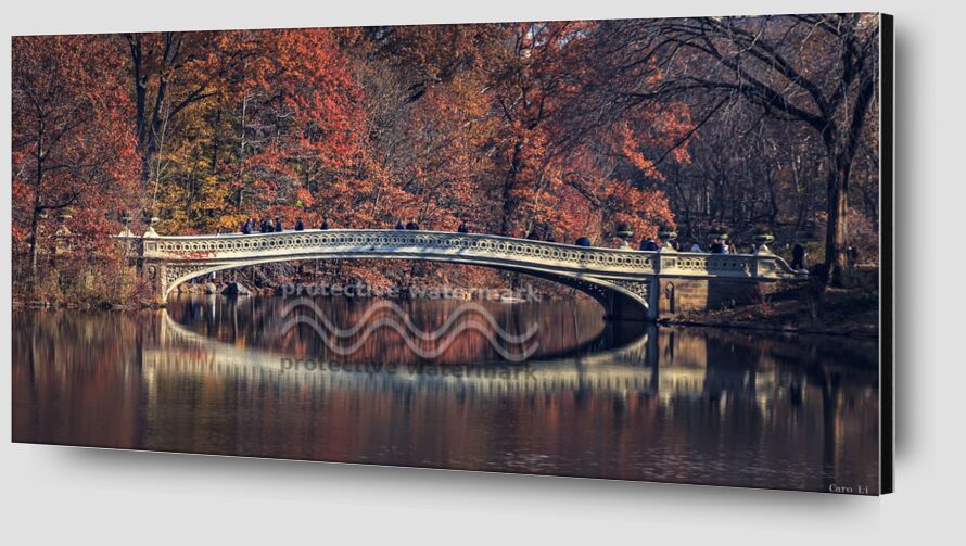 Central Park - Bow Bridge from Caro Li Zoom Alu Dibond Image