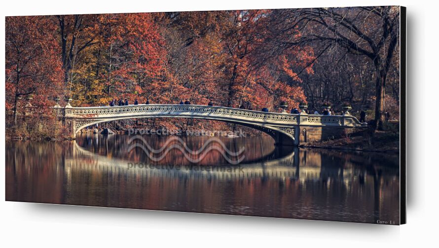 Central Park - Bow Bridge from Caro Li, Prodi Art, New-York, NY, USA, United States, Photography, photography, Dear Li, Central Park - Bow Bridge