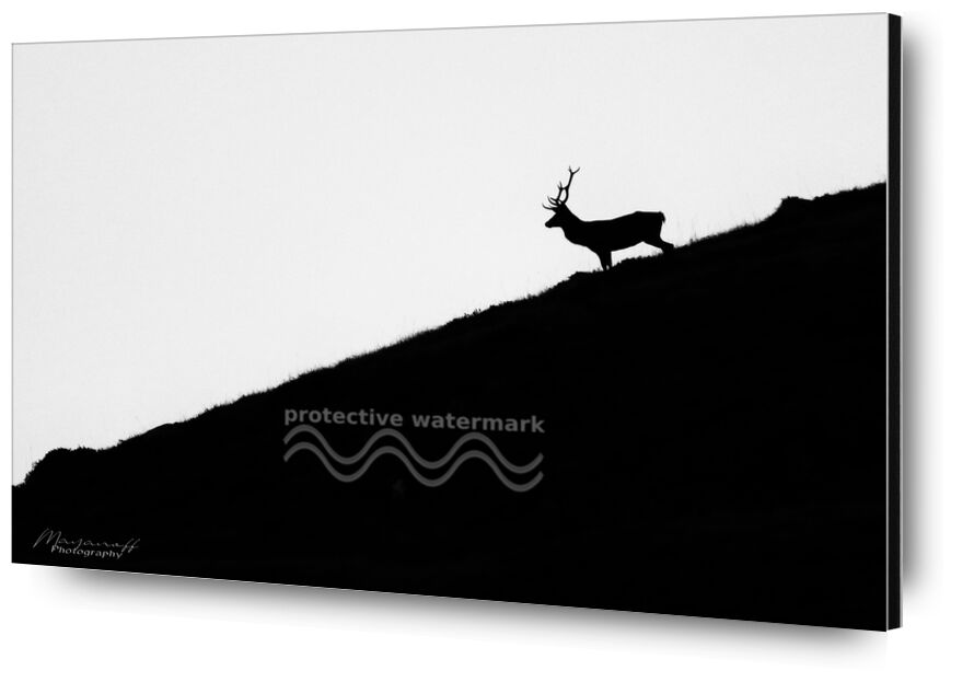 Night getaway from Mayanoff Photography, Prodi Art, deer, night, dusk, mountains, crest, animal, wildlife, deer, night, dusk, mountain, wildlife, ridge