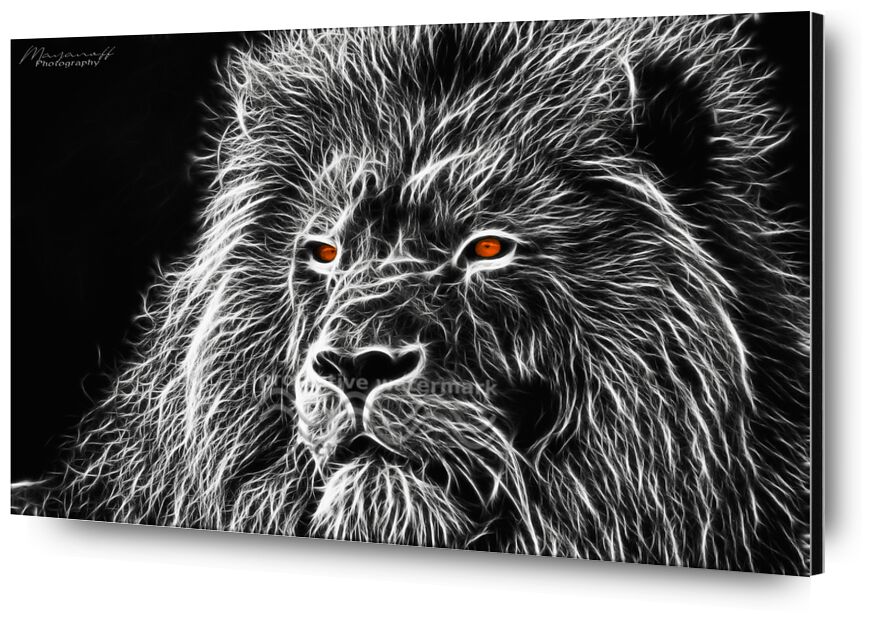 Regard félin de Mayanoff Photography, Prodi Art, Lion, félin, peinture, fractalius, noir &amp; blanc, monochrome, animal, ce qui concerne, félin, peinture, Noir blanc, gaze