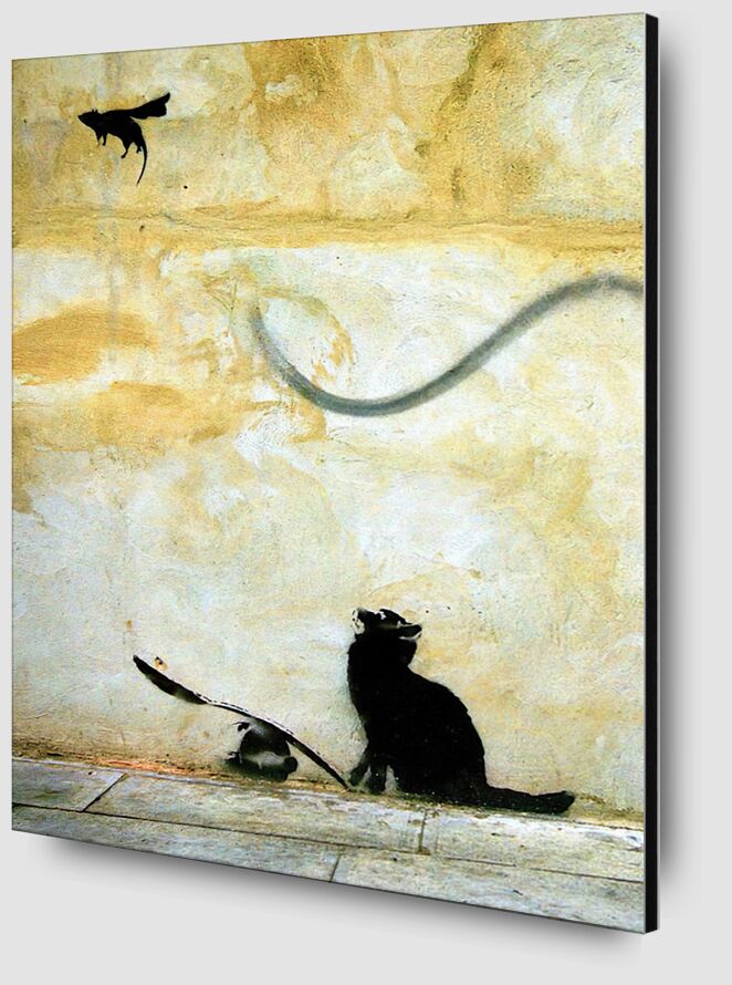 Cat - BANKSY from Fine Art Zoom Alu Dibond Image