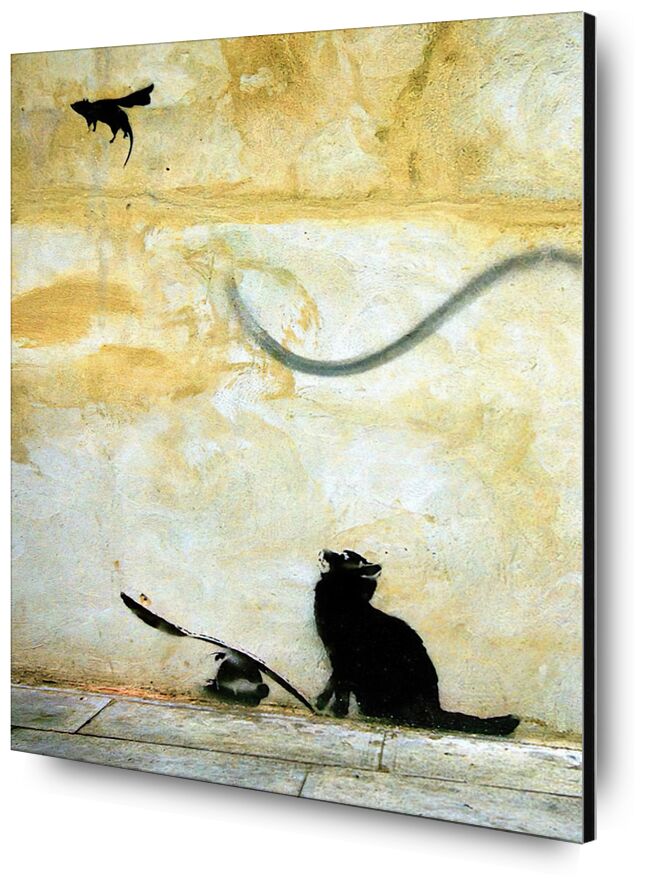 Cat - BANKSY desde Bellas artes, Prodi Art, pintada, Banksy, gato, arte callejero
