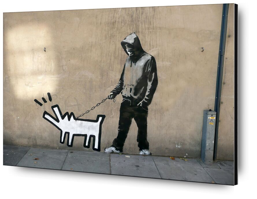 Dog - BANKSY from Fine Art, Prodi Art, graffiti, dog, street art, banksy