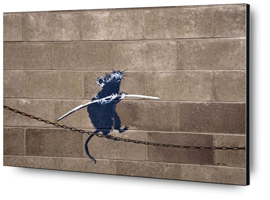 Tightrope from Fine Art, Prodi Art, banksy, street art, graffiti, rat