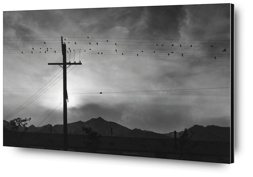 Birds on Wire, Evening - Ansel Adams from Fine Art, Prodi Art, black-and-white, Sun, sky, birds, mountains, ANSEL ADAMS