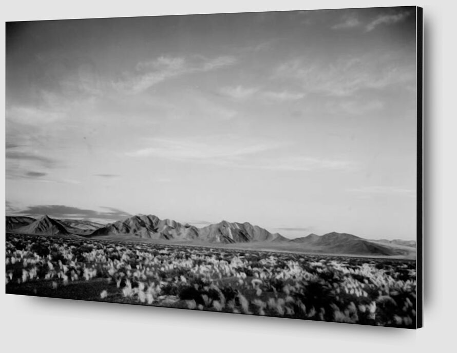 View Of Montains Desert Shrubs Highlighted - Ansel Adams desde Bellas artes Zoom Alu Dibond Image