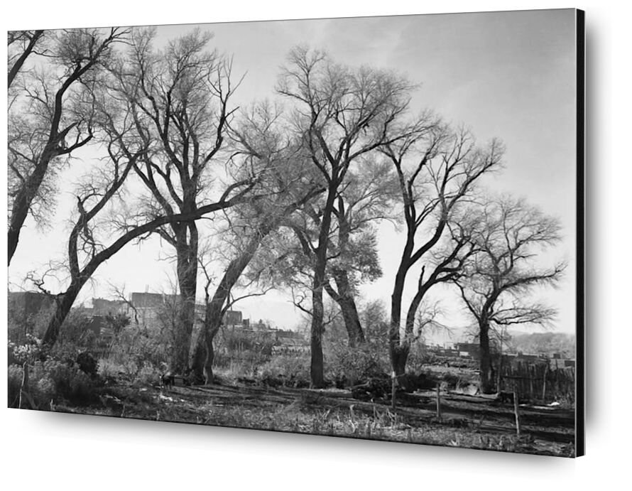 At Taos Pueblo National Historic Landmark desde Bellas artes, Prodi Art, ANSEL ADAMS, blanco y negro, árboles, granja
