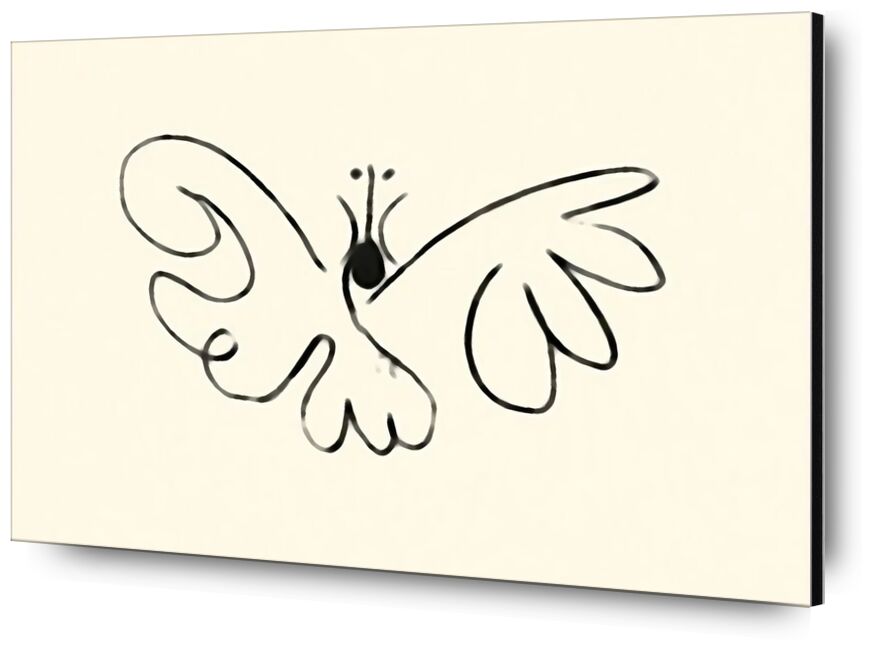 The Butterfly  von Bildende Kunst, Prodi Art, Schmetterling, Picasso, Zeichnung, Züge