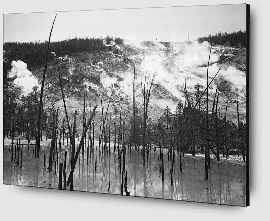 Rocky Mountain National Barren trunks in water near steam rising from mountains desde Bellas artes Zoom Alu Dibond Image