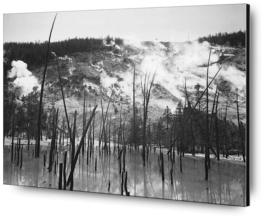 Rocky Mountain National Barren trunks in water near steam rising from mountains von Bildende Kunst, Prodi Art, troncs, Bäume, Dampf, Berge, ANSEL ADAMS