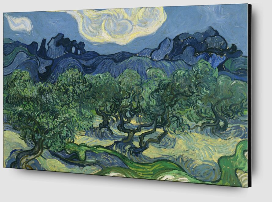 Les Oliviers - Van Gogh de AUX BEAUX-ARTS Zoom Alu Dibond Image