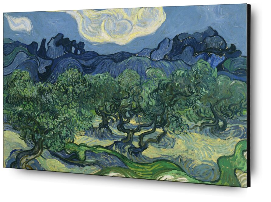 Les Oliviers - Van Gogh de AUX BEAUX-ARTS, Prodi Art, abstrait, Van gogh, champs, nature, oliviers