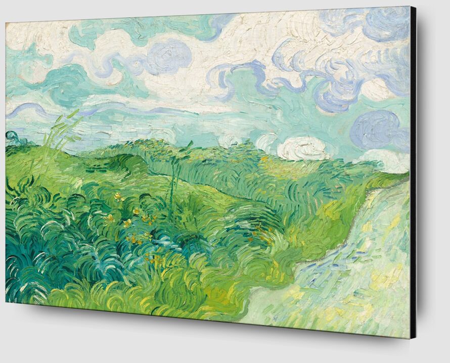 Green Wheat Fields, Auvers von Bildende Kunst Zoom Alu Dibond Image