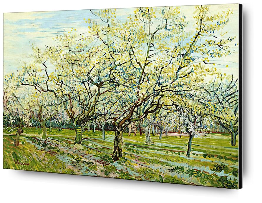 Le Verger Blanc - Van Gogh de AUX BEAUX-ARTS, Prodi Art, Van gogh, paysage, agriculture, paysan, Verger