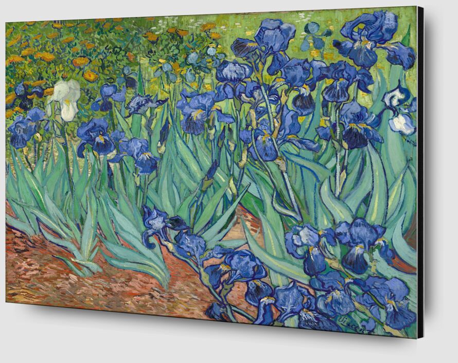 Iris - Van Gogh de AUX BEAUX-ARTS Zoom Alu Dibond Image