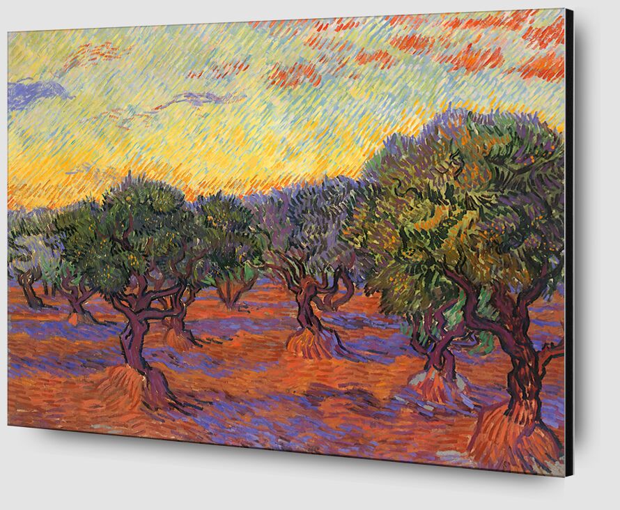 Oliveraie - Van Gogh de AUX BEAUX-ARTS Zoom Alu Dibond Image