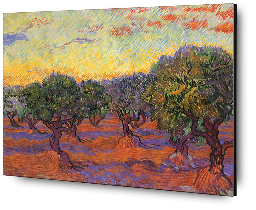 Grove of Olive Trees - Van Gogh desde Bellas artes, Prodi Art, Van gogh, surco de olivos, pintura, naturaleza, paisaje