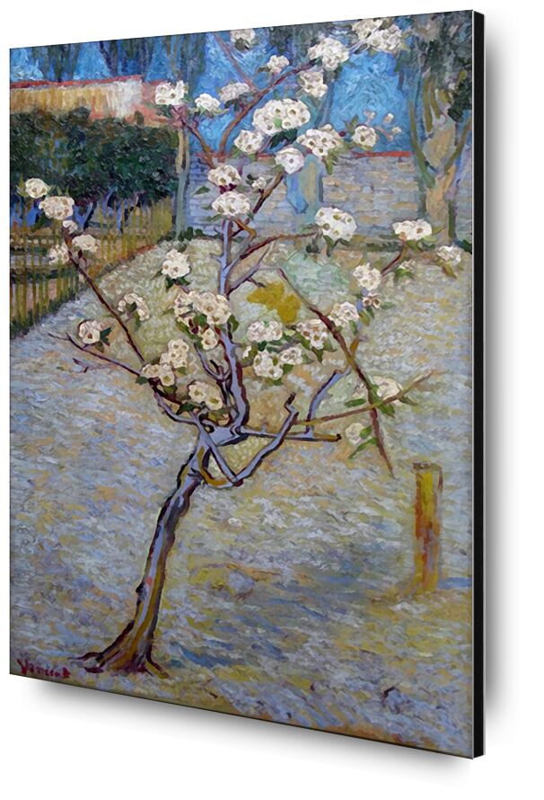 Peartree - Van Gogh from Fine Art, Prodi Art, Van gogh, tree, landscape, nature, Pear tree