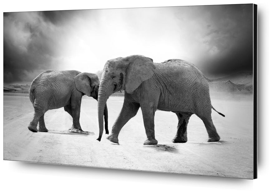 Two elephants from Pierre Gaultier, Prodi Art, limpopo, nature, zoo, safari, predator, africa, animals, ivory, elephant