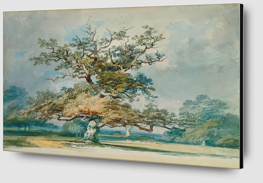 Un Paysage avec un Vieux Chêne - TURNER de AUX BEAUX-ARTS Zoom Alu Dibond Image