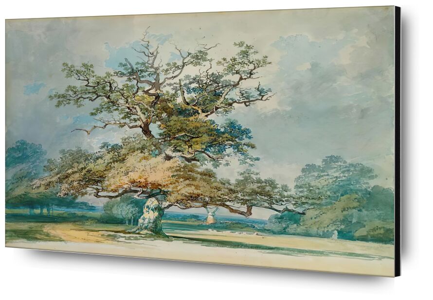 A Landscape with an Old Oak Tree desde Bellas artes, Prodi Art, TORNERO, árbol, hojas, paisaje, cielo, Roble