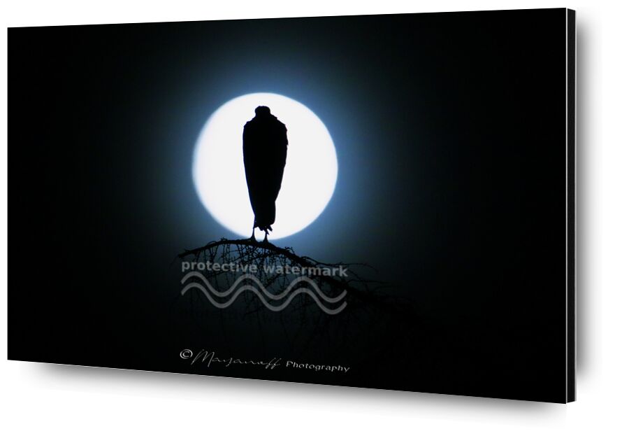 Silouhette in the moonlight from Mayanoff Photography, Prodi Art, full moon, tree, stork, birds, wild animals, night, moonlight