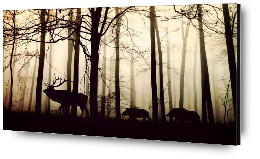 Silhouette of the forest from Pierre Gaultier, Prodi Art, forest, fog, hirsch, wild boars, nature, animals, trees, winter, mood, back light, winter trees, silhouette, atmosphere, shadow, cold, silent, wild animals