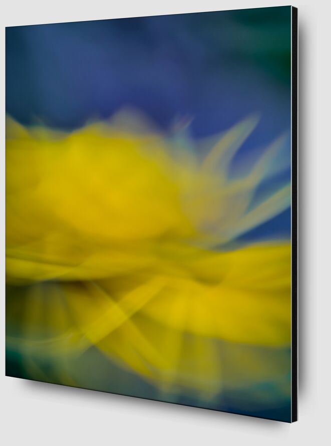 La fleur jaune de Céline Pivoine Eyes Zoom Alu Dibond Image