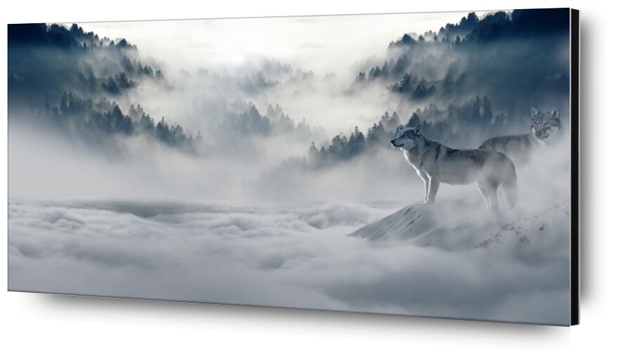 Solitary Wolves from Pierre Gaultier, Prodi Art, fairy tales, magic, magic forest, fir forest, mystical, firs, atmospheric, idyllic, wintry, winter, forest, trees, freezing, cold, winter mood, fog, clouds, mood, nature, valley, mountains, pack, snow, wild animal, predator, animal world, atmosphere, landscape, snow wolf, wolves, wolf