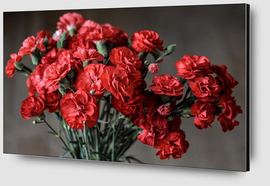 Bouquet de roses de Pierre Gaultier Zoom Alu Dibond Image