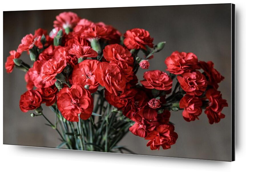 Bouquet of roses from Pierre Gaultier, Prodi Art, stalk, seasonal, romantic, red, petals, love, gift, flowers, flora, decoration, color, close-up, carnation, buds, bunch, flower, blooming, bloom, beautiful