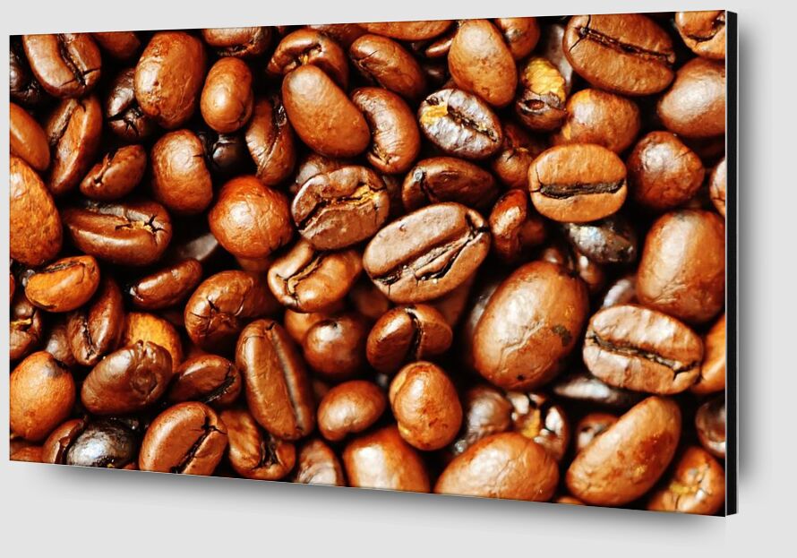 Our coffee beans from Pierre Gaultier Zoom Alu Dibond Image