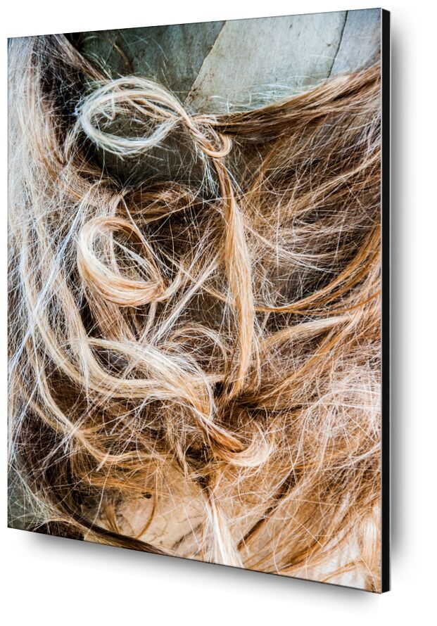 Enchevêtrement capillaire de Marie Guibouin, Prodi Art, chevelure, nature, arbre, coiffure, cheveux, marie guibouin, eucalyptus