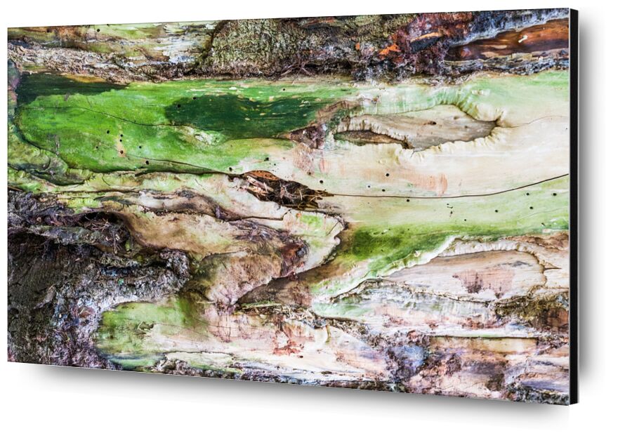 Le bois vert de Marie Guibouin, Prodi Art, sculpture, marie guibouin, vert, écorce, arbre