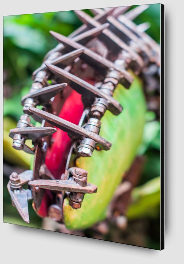 Plante carnivore Art - serre tropicale de Marie Guibouin Zoom Alu Dibond Image