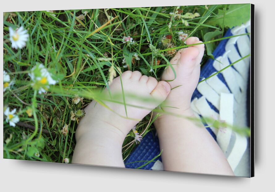 Petits pieds dans l'herbe de jenny buniet Zoom Alu Dibond Image