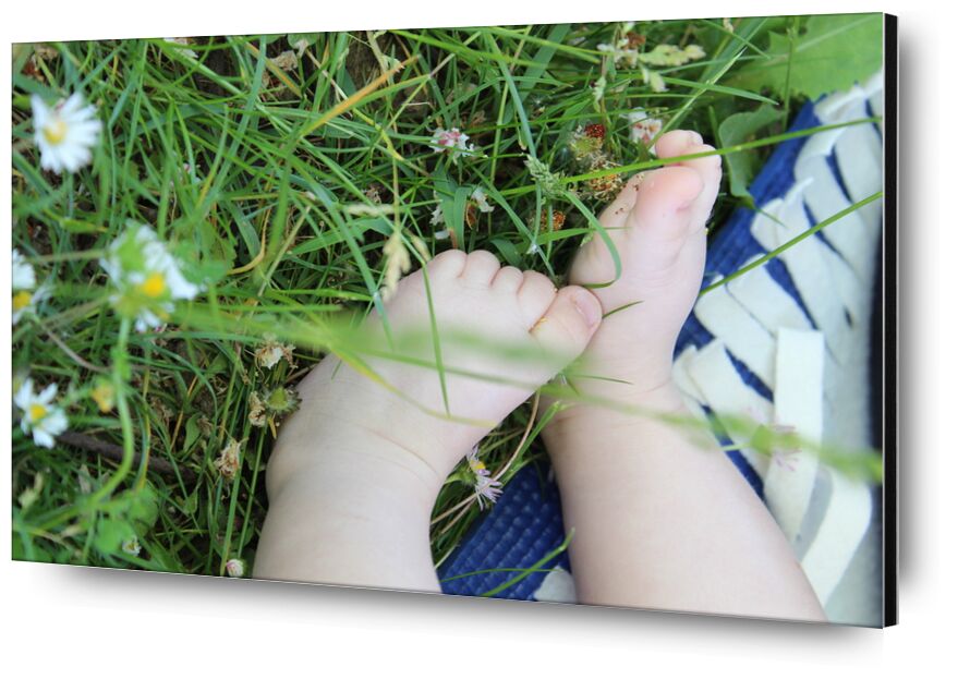 Petits pieds dans l'herbe de jenny buniet, Prodi Art, nature, bébé