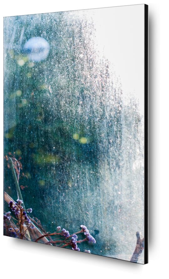 Bulle de lumière de Marie Guibouin, Prodi Art, lumière, automne, fenêtre, plantes, fleurs, violet, vert, bulle, marie guibouin, violette