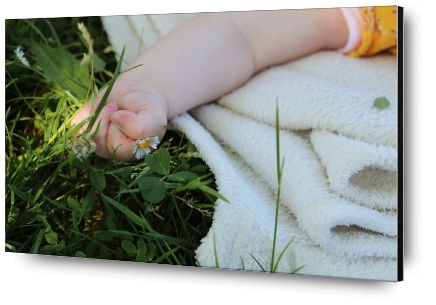 Petite main dans l'herbe de jenny buniet, Prodi Art, fleur, nature, bébé