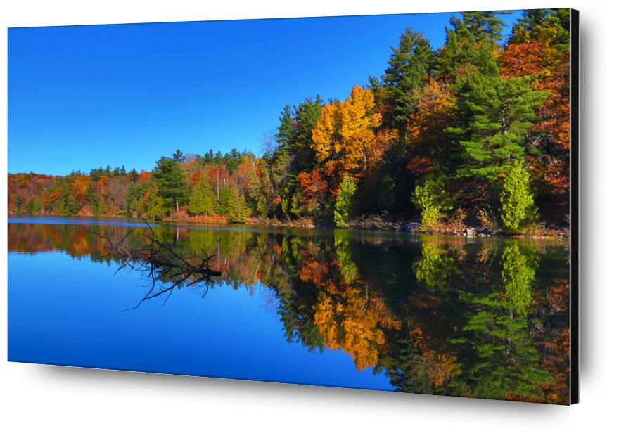 Canada de Cyril Jourdan, Prodi Art, Lac, forêt, paysage, nature, Couleur, automne, Voyage, Canada