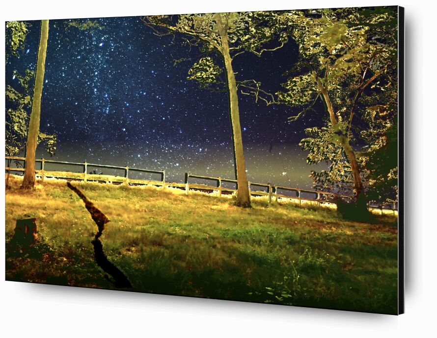 La porte de Adam da Silva, Prodi Art, nuit, étoiles, arbres, prairie, bleu